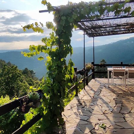 Casa Da Vina - Ribeira Sacra Villa Nogueira De Ramuin Exterior photo