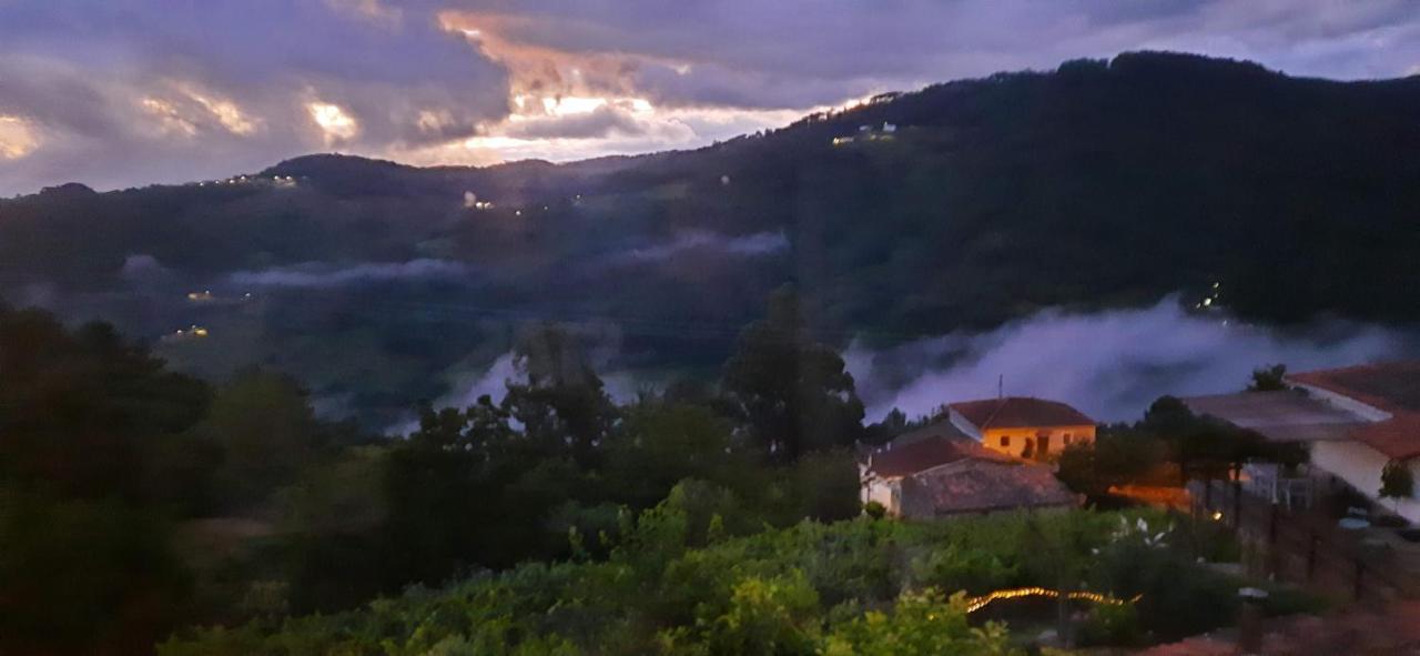 Casa Da Vina - Ribeira Sacra Villa Nogueira De Ramuin Exterior photo