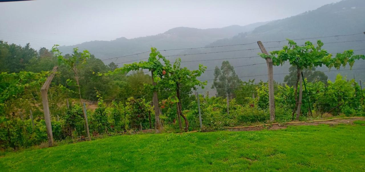 Casa Da Vina - Ribeira Sacra Villa Nogueira De Ramuin Exterior photo